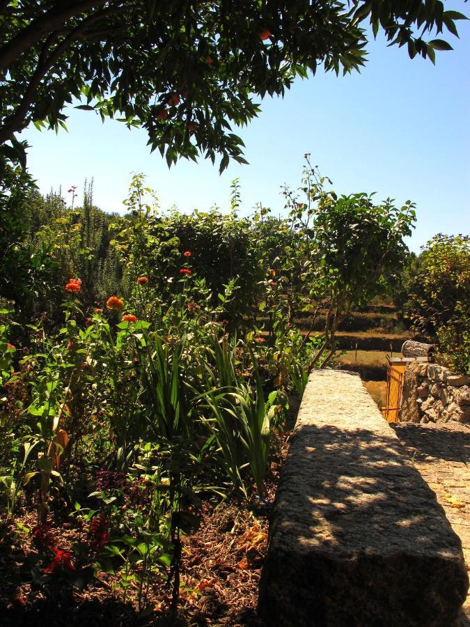 סואז'ו Casa Das Lapas מראה חיצוני תמונה